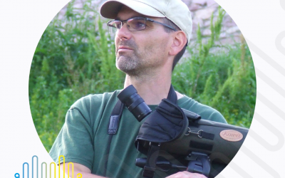 Egyre népszerűbb a madármegfigyelés